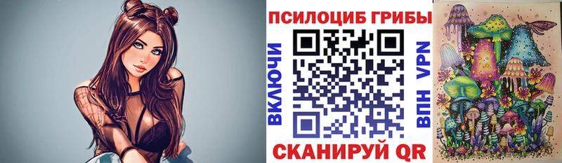 Купить  Славянск-на-Кубани  Галлюциногенные грибы мухоморы 